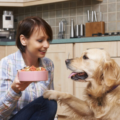 Healthy Dog Feeding Tips