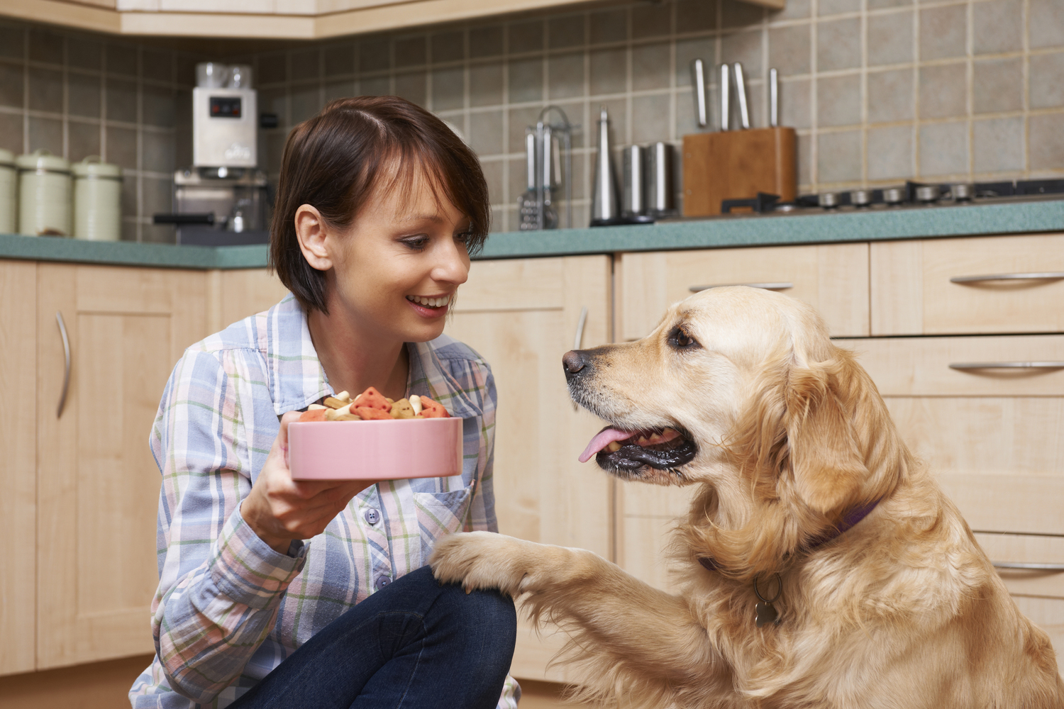 Healthy Dog Feeding Tips