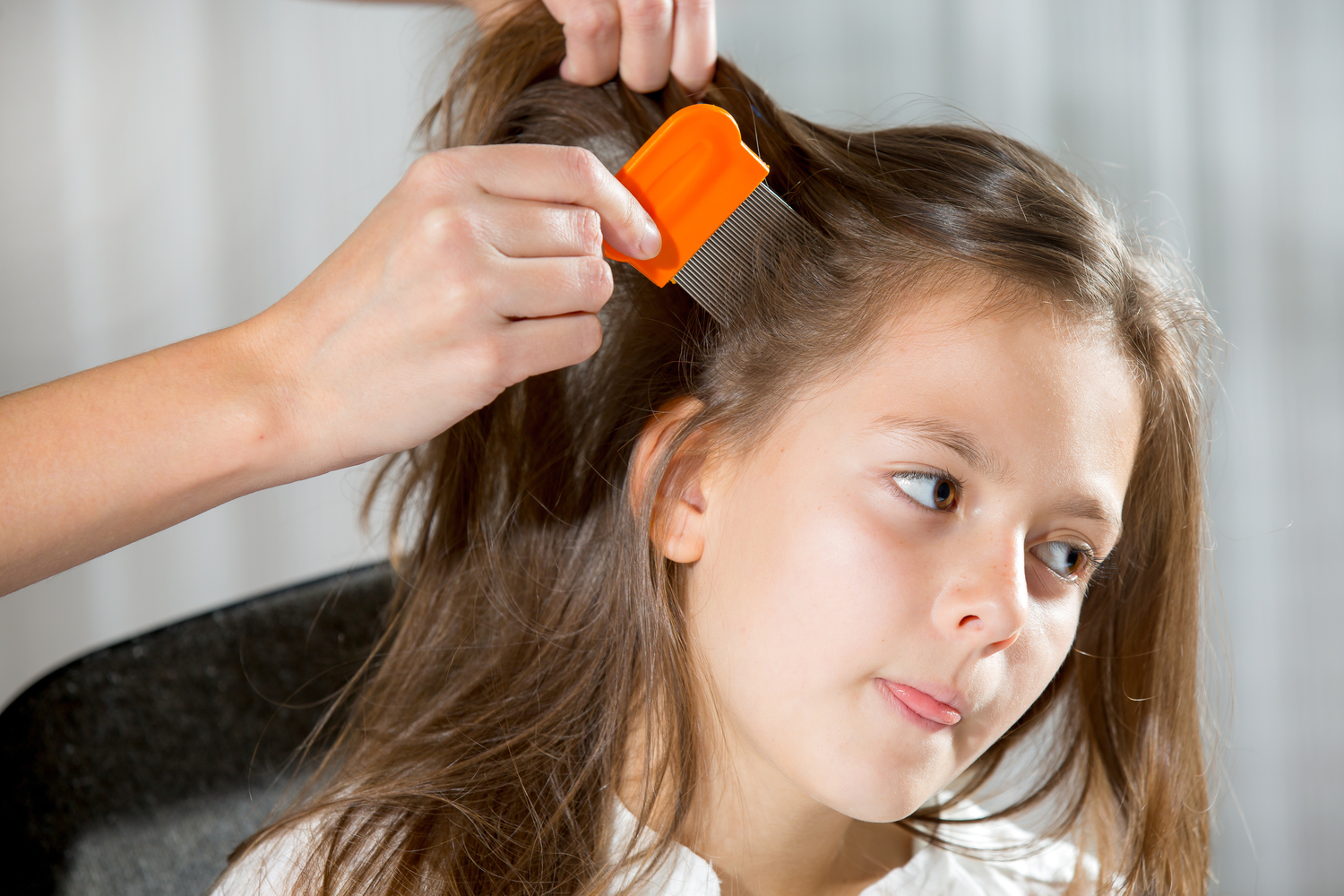 Home remedies to effectively treat head lice